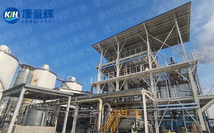 环己烷氧化废碱液蒸发器